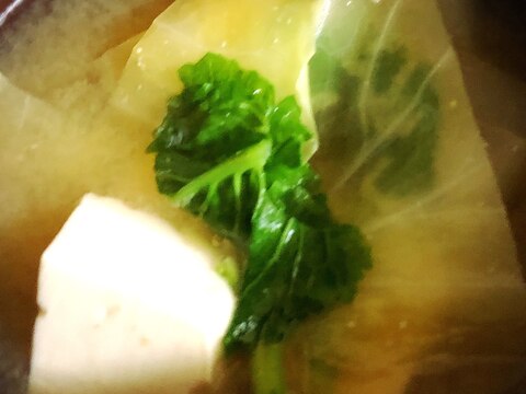 春キャベツと豆腐とかぶの葉のお味噌汁
